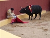 A Bullfighter, Faced With The Reality Of His Crimes