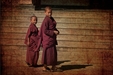 Five Environmental Lessons We Can Learn from Buddhist Monks