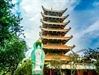 Make a pilgrimage to Saigon through famous temples