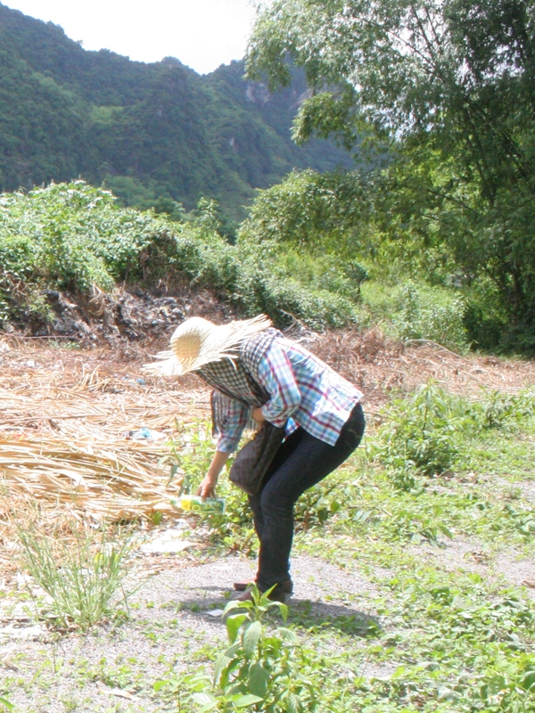 Rác được chôn lấp sơ sài. Ảnh: Trần 
Thanh