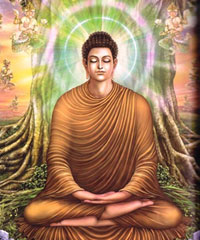 Gautama Buddha spent time under the Sri Maha Bodhi tree