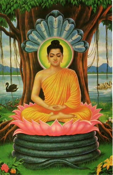 buddha_meditating.jpg