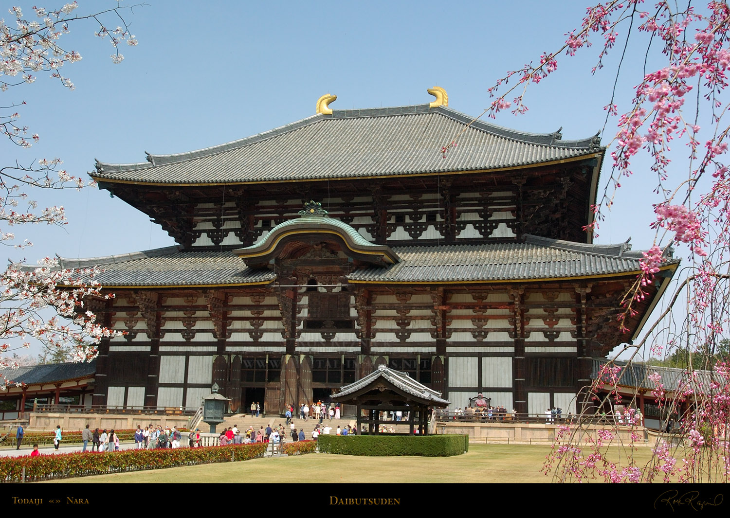7.	Đông Đại tự, một trong những ngôi chùa quan trọng nhất của Nhật Bản -pb