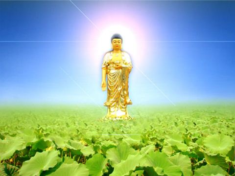 Phật Thuyết Kinh Quán Vô Lượng Thọ